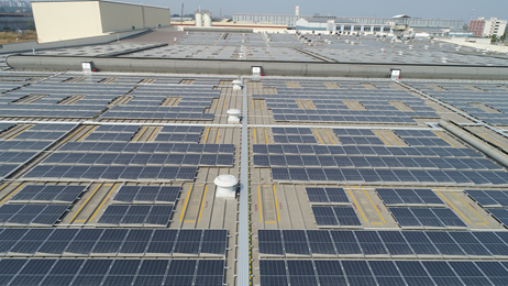 綠色創新，陽光動力 維他檸檬茶積極布局新能源，以太陽能發電助力碳達峰、碳中和